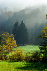 Similar image 10452516