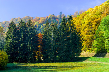 Similar image 10452520