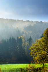 Similar image 10452524