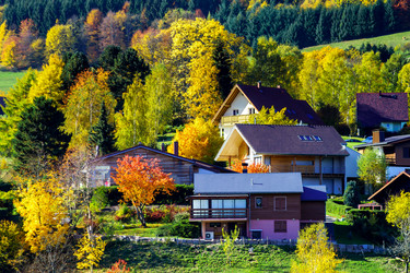 Similar image 10452529