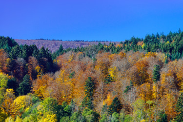 Similar image 10452530