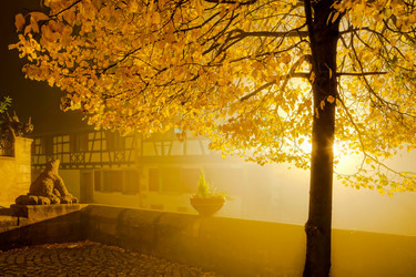 Similar image 10452537