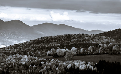 Similar image 10452544