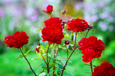 Similar image 10452548