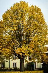 Similar image 10452549