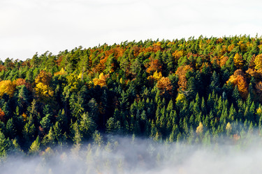 Similar image 10452552