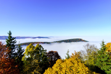 Similar image 10452553