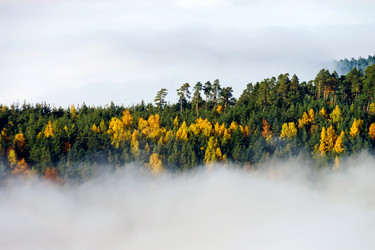 Similar image 10452554