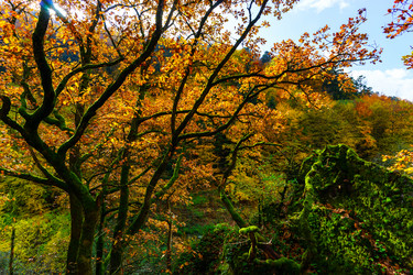 Similar image 10452562