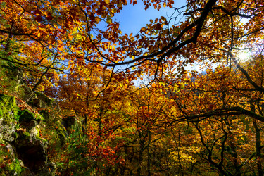 Similar image 10452563