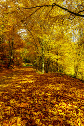 Similar image 10452565