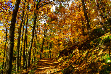 Similar image 10452569