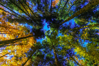 Similar image 10452574