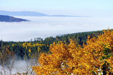 Similar image 10452578