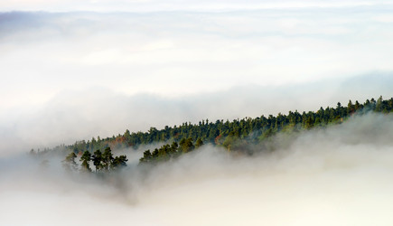 Similar image 10452582