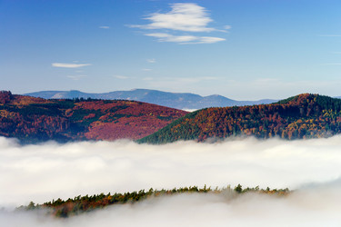 Similar image 10452583