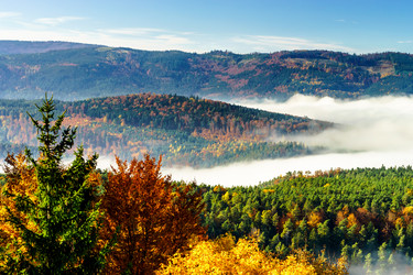 Similar image 10452585