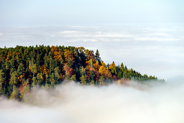 Similar image 10452586