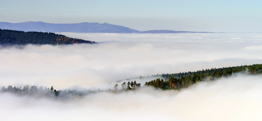 Similar image 10452589