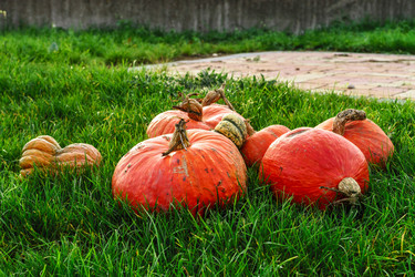 Similar image 10452609