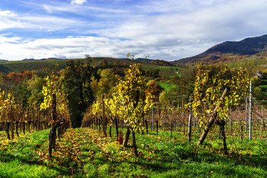 Similar image 10452610