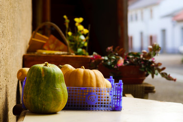 Similar image 10452611