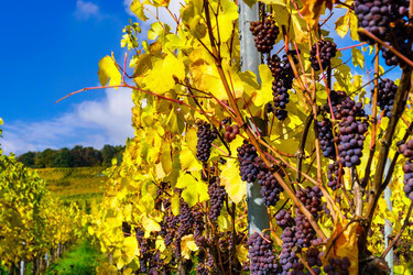 Similar image 10452615