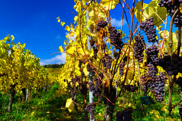 Similar image 10452617