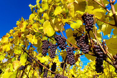 Similar image 10452619