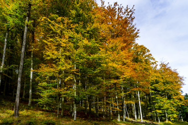 Similar image 10452621