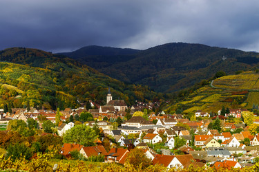 Similar image 10452624