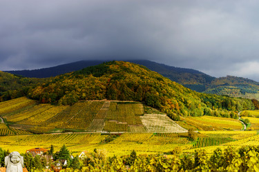 Similar image 10452625