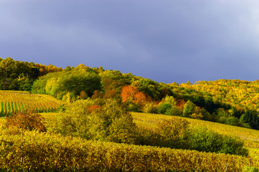 Similar image 10452628