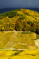 Similar image 10452634