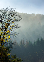 Similar image 10452637