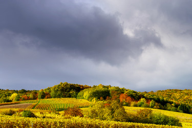 Similar image 10452639