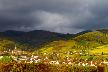 Similar image 10452640