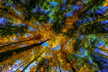 Similar image 10452643