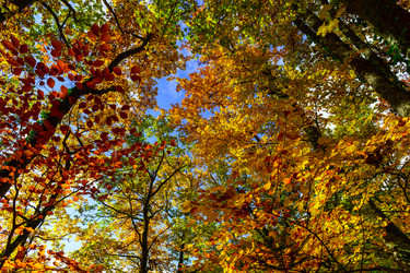 Similar image 10452666