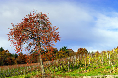 Similar image 10452669