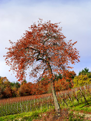 Similar image 10452670