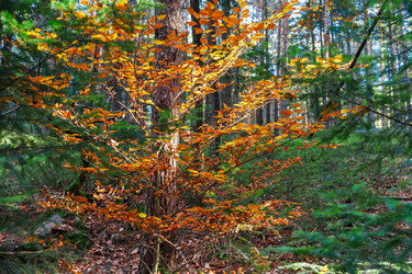 Similar image 10452676