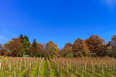 Similar image 10452677