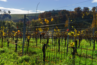 Similar image 10452679