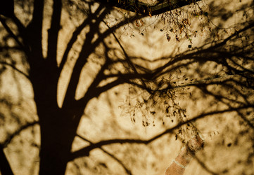 Similar image 10452684