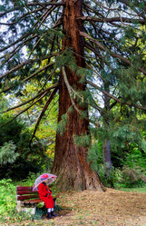 Similar image 10452693