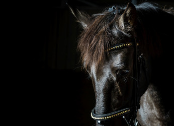 Similar image 10452730