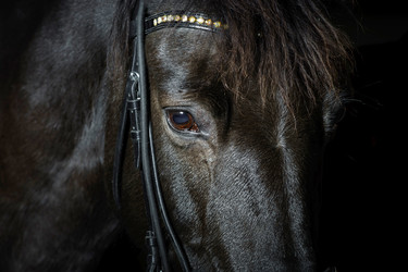 Similar image 10452740