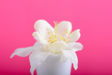 Similar image 10452745