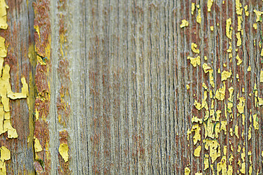 Similar image 10452748